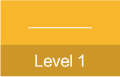 Level 1